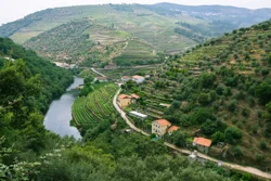 Cruising the Douro Valley, Portugal